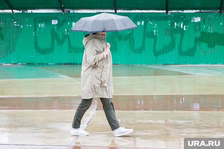 В Европейской части РФ ожидается холодная погода