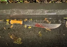 Челябинец пытался с помощью мачете убить бывшую жену и ее сожителя