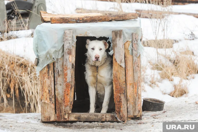 Что можно отметить 6 ноября 2025 года
