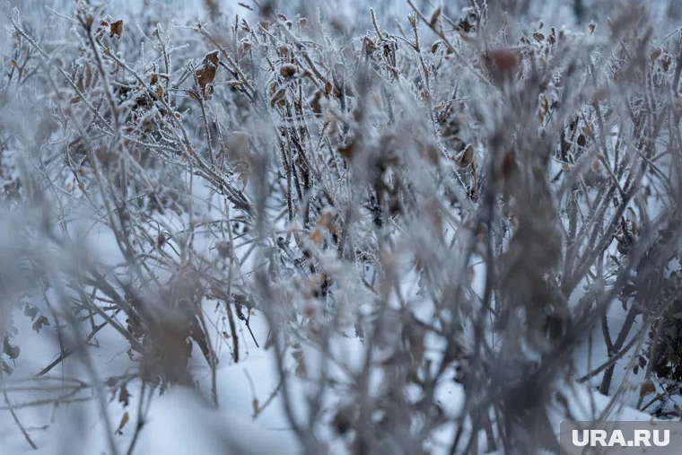 Температура воздуха опустится в Челябинской области до 8 градусов мороза