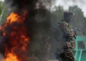 Фотография из галереи