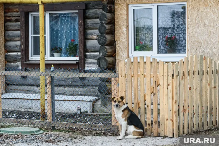 Строительство дома не сделает землю под ним собственностью, сказал Дмитрий Рябых