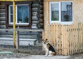 Юрист Рябых назвал регионы РФ, где государство чаще отбирает земли