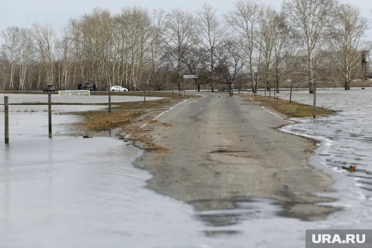 Пик паводка в Викуловском районе прогнозируют в течение ближайших трех дней