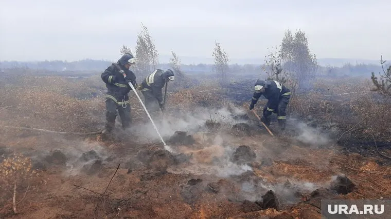 Площадь торфяного пожара была 40 квадратных метров, а теперь — 33