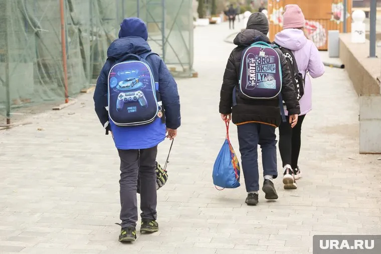 Родители учеников лицея №110 в Екатеринбурге хотят, чтобы их мнение учитывалось при выборе директора