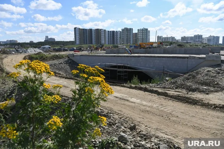 Мэрия ищет подрядчика для строительства суда в Академе