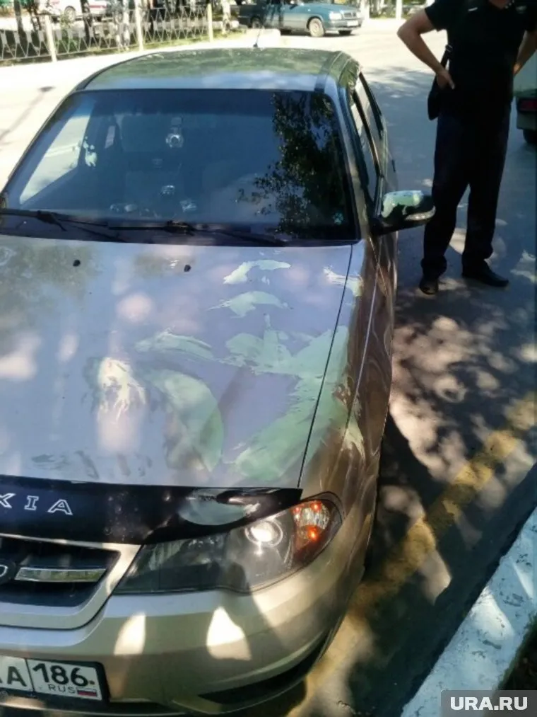 Владельцы машин не стали писать заявления и сами оттерли краску
