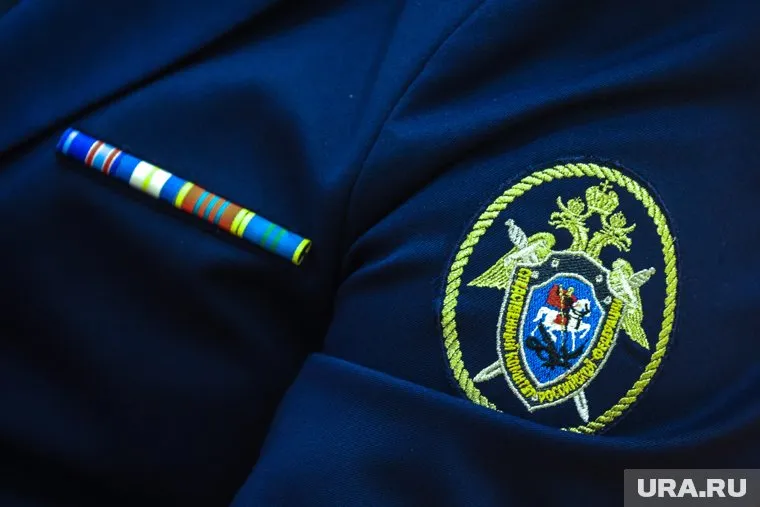 После нападения на журналистку и адвоката возбудили уголовное дело по двум статьям