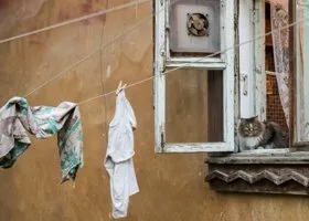 Фотография из галереи