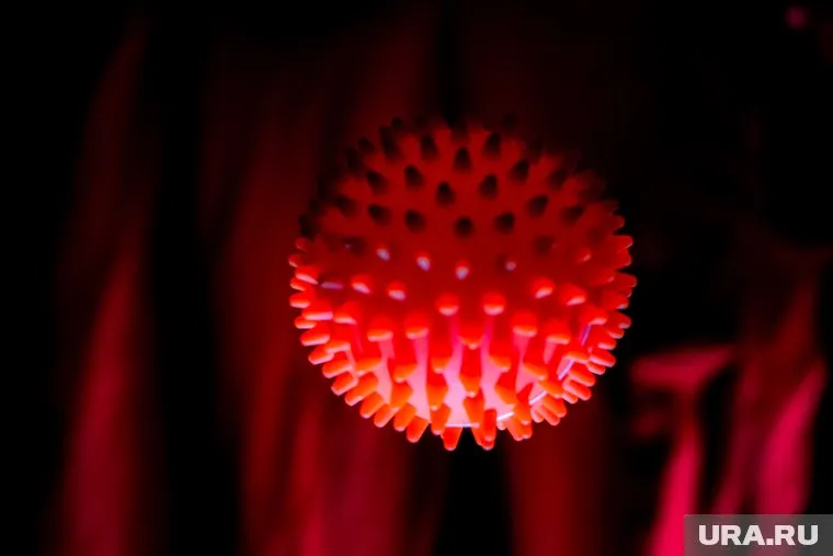 За последние сутки COVID-19 был подтвержден у 27 тюменцев