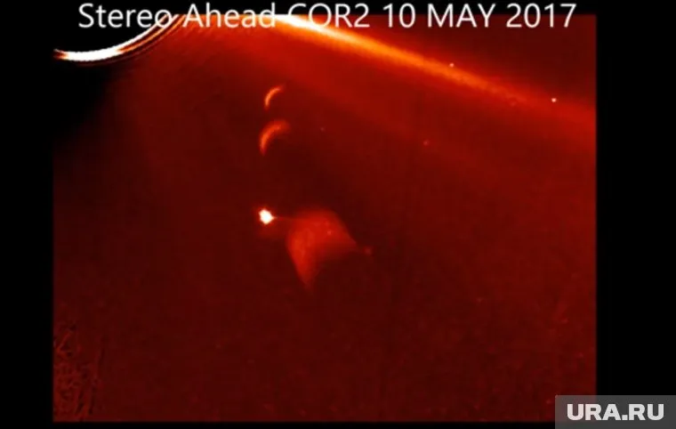 Ученые предполагают, что яркая точка - светоотражательный защитный элемент