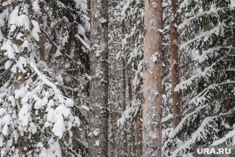 Какая погода будет 31 декабря еще неизвестно