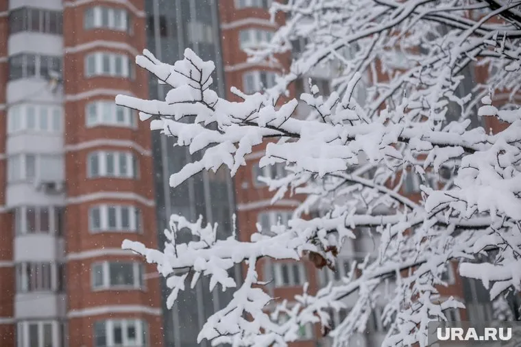 Евгений Тишковец сообщил, что температура 8 мая достигнет в Москве шесть градусов