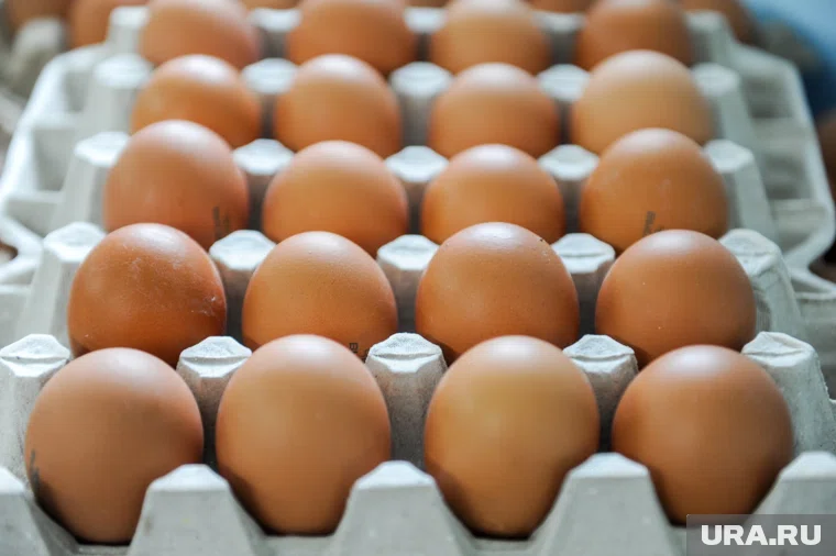 Яйца, обогащенные селеном и йодом, можно употреблять осенью для иммунитета, заявил ученый