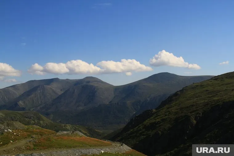 Власти ХМАО планируют добывать полезные ископаемые в Березовском и Белоярском районах