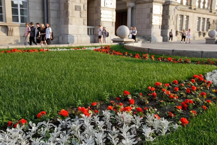 Цветы у мэрии. Екатеринбург
