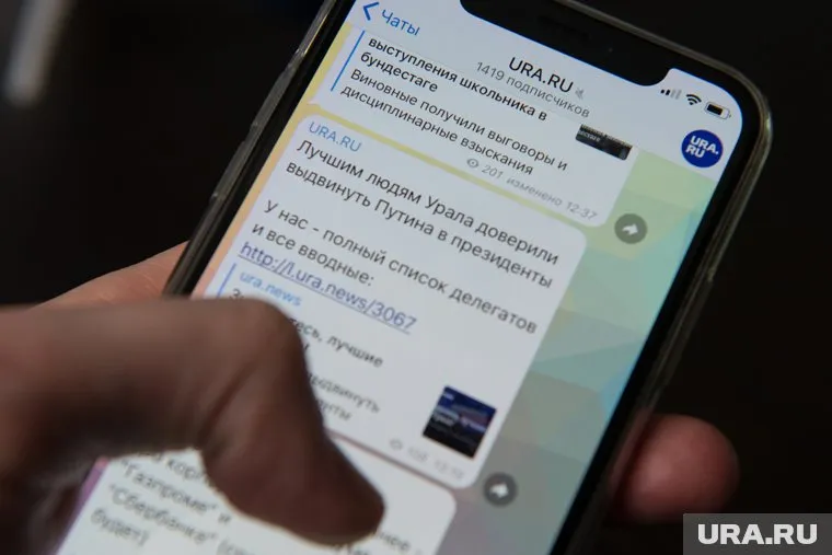 Политики Кургана пока не спешат менять Telegram на новый мессенджер Max