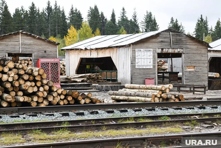 Александр Брагин погиб год назад на территории промзоны исправительной колонии №10