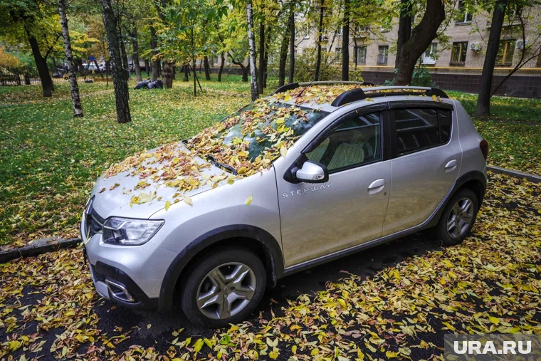 Самыми популярными у челябинцев стали запчасти для автомобилей
