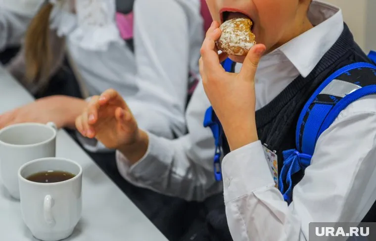 В столовой школы в Аргаяшском районе нашли массу нарушений