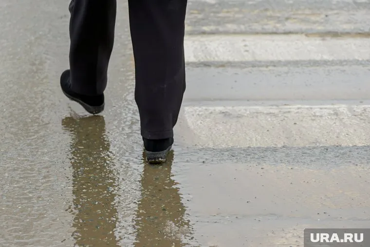 Теплые температуры в ХМАО будут сопровождать дождь и ветер