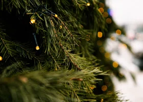 Воздушные акробаты и блюда из оленины: что предлагают рестораны Челябинска в новогоднюю ночь