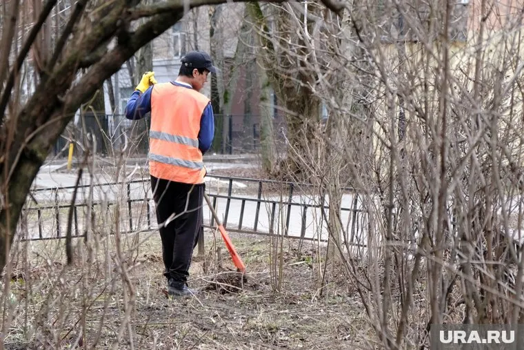 Иностранцы открывают в Тюмени кустарные пищевые цеха и торгуют едой через интернет