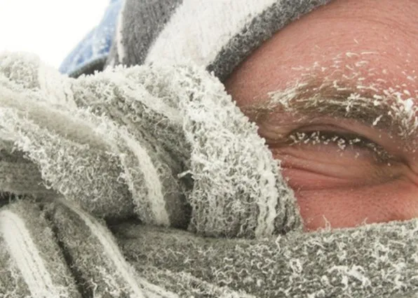 Фотография из галереи