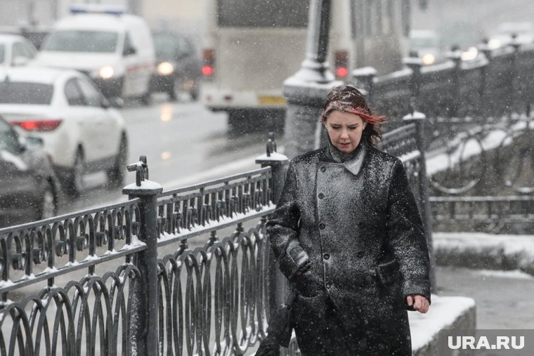 В Москве — ветер, в Петербурге — снегопад: синоптик рассказал о погоде с 17 по 21 ноября