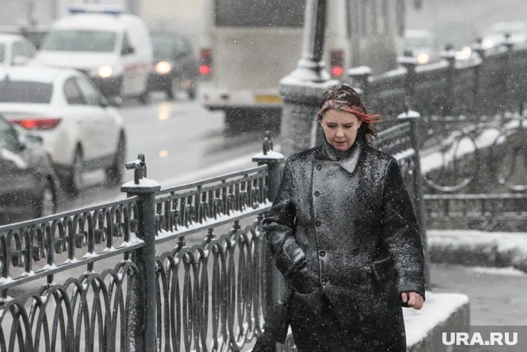 В Петербурге выпадет снег