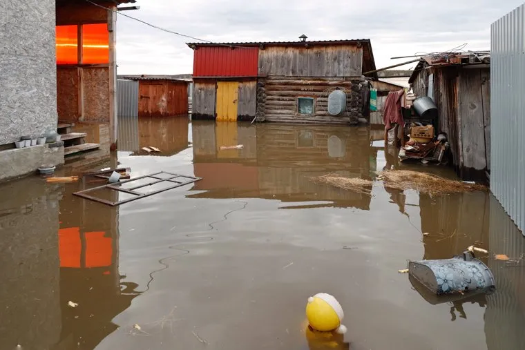Звериноголовское. Курган