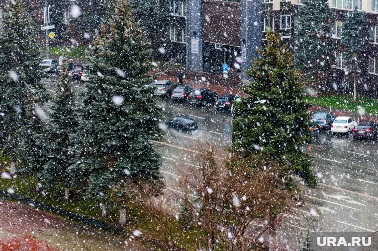 Первые пять дней осени в Москве стали самыми холодными за 21 год