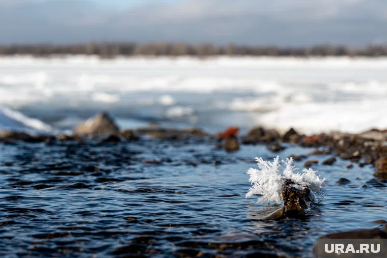 Поиски длились 36 дней