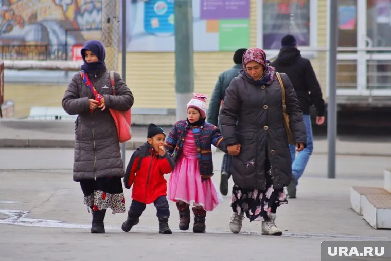 Власти Кургана приготовили документы, чтобы судиться с садоводством, в котором ранее проживали цыгане