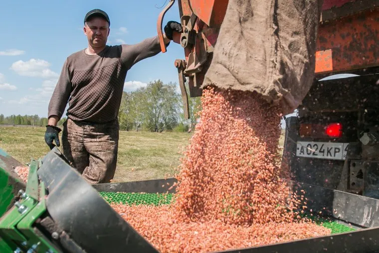 Посевная. Поселок Глинки. Курган