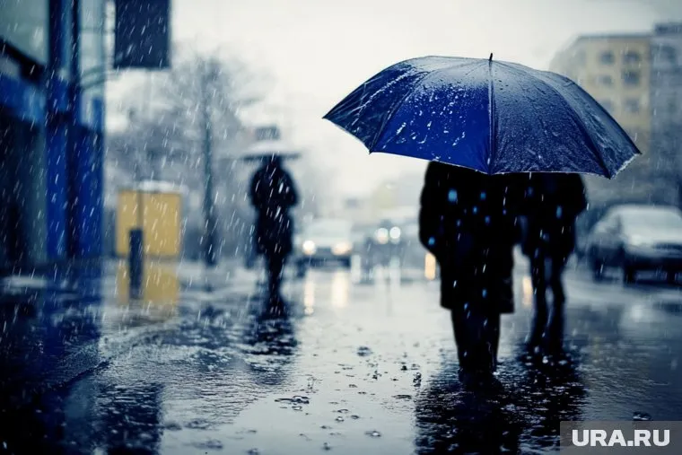 Синоптики обещают сегодня выпадение 40% месячной нормы осадков в Москве 