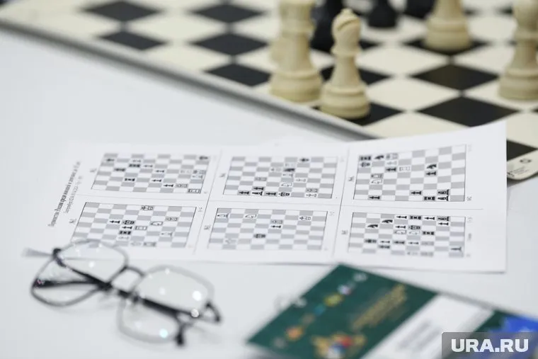 ФШР была времена отстранена от членства в FIDE, заявил Дворкович