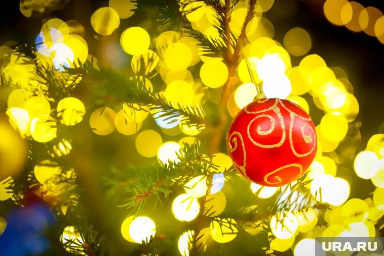 В рамках акции организации и местные жители смогут вручить детям подарки на Новый год