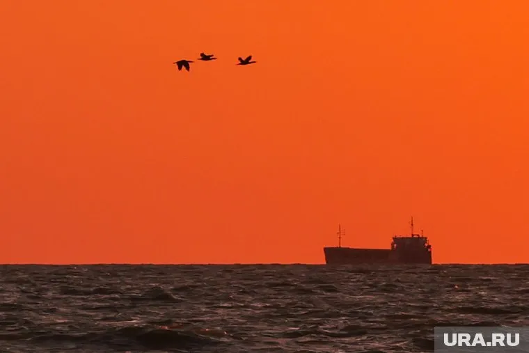 Арестованного украинца, подозреваемого в подрыве «Северных потоков», проверят на причастность к другим схожим инцидентам, передает La Stampa
