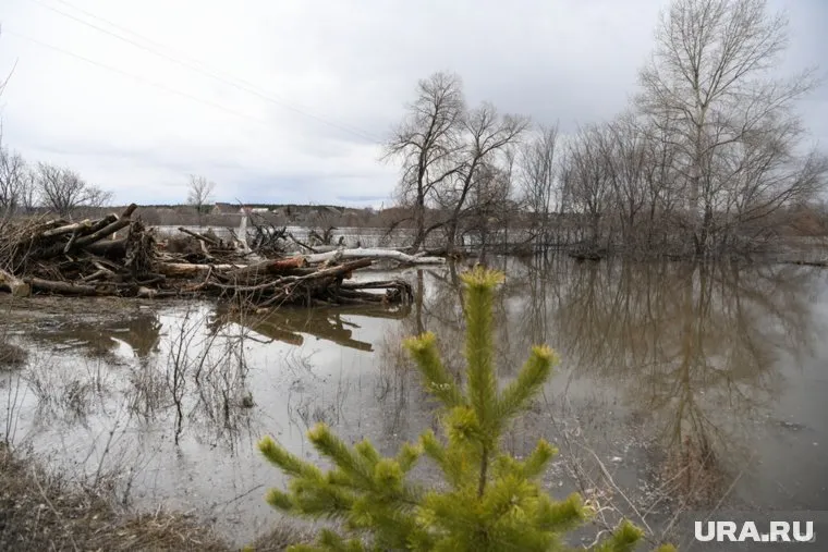 Вода в Тоболе продолжает прибывать, угрожая областному центру