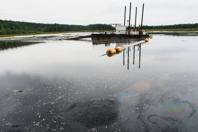Озеро Здохня и шламонакопитель МУП "Водоканал". Екатеринбург