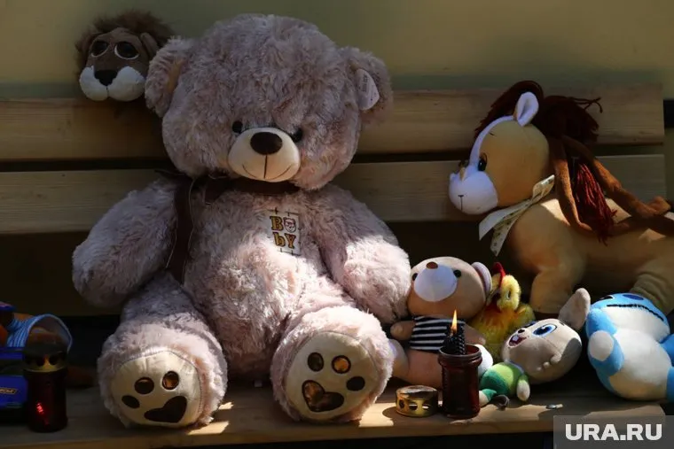 Игрушки приносят взрослые и дети