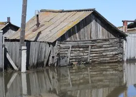 Фотография из галереи