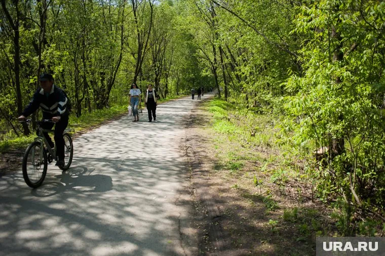 В Шарташском лесопарке компания «Баден-Баден» начала благоустраивать территорию