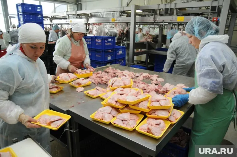 Источником заражения санврачи считают замороженную курятину из Белгорода