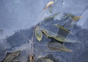 «Леденящее душу зрелище»: в Тюмени в холодном озере оказались десятки человек