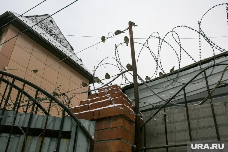 Поляки хотят поставить забор на границе с Калининградской областью