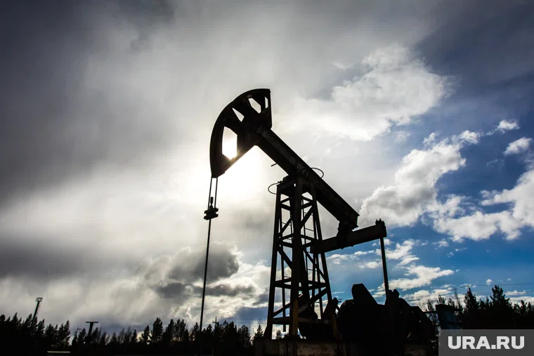 Поставки нефти из РФ составили более половины импорта всего сырья в Индию