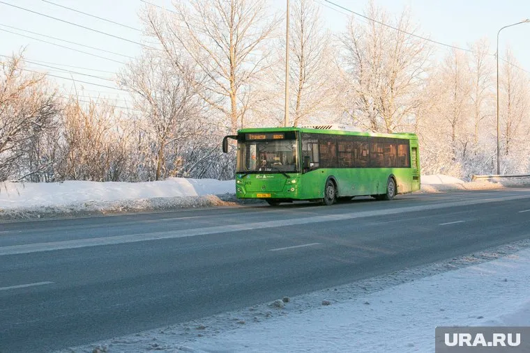 В аварии столкнулись автобус и грузовик (архивное фото)